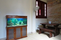 casa particular havana